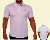 Camisa Polo Hollister